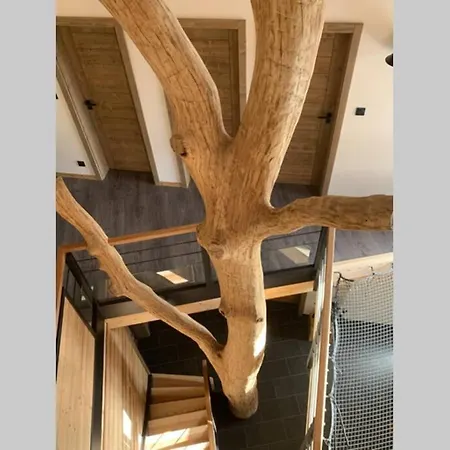 Chalet 15 Pers Le Pourquoi Pas Grand Standing 5 Etoiles Jacuzzi Sauna 5 Chambres Salle De Bains Privatives Chalet La Bresse